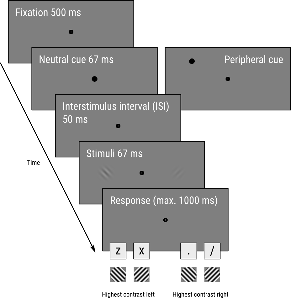 /pages/img/ecvp2023/paradigm-custom.png