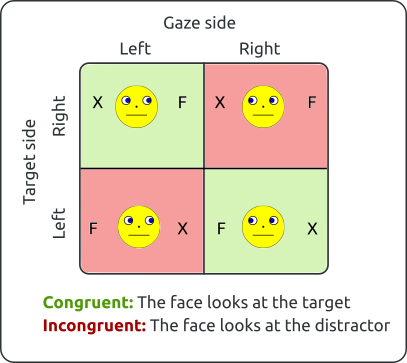 /pages/img/gaze2020/conditions.png