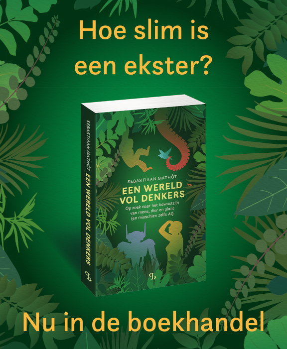 Bestel Een wereld vol denkers door Sebastiaan Mathôt via bol.com